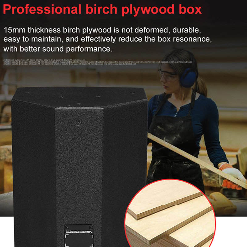 Tiwa 12 inch speaker professional for stage performance